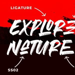 The Rocky Handbrush Typeface