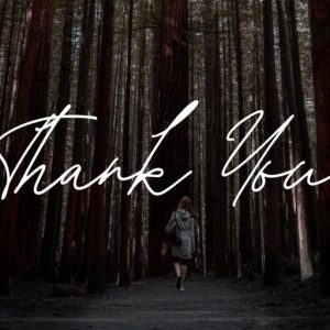 Tiffanyed Signature Collection