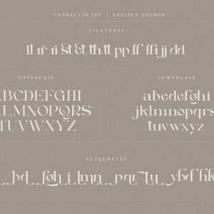 Vallery Qylmor Modern Elegant Serif