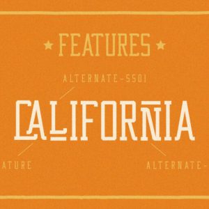 Western Wildler Slab Vintage