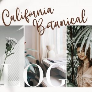 Willyast Calligraphy Handwriting