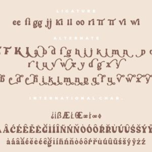 Wintter Modern Chic Serif