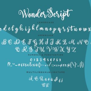 Wonder Script Fun Calligraphy