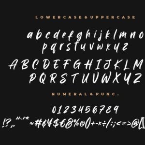 Wyattiky Stylish Brush