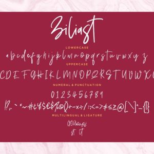 Ziliast Signature Natural